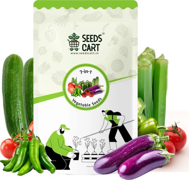 SeedsCart Cherry Tomato, Tomato, Chilli, Capsicum / Shimla Mirch, Brinjal, Okra (Bhindi), Cucumber Seed