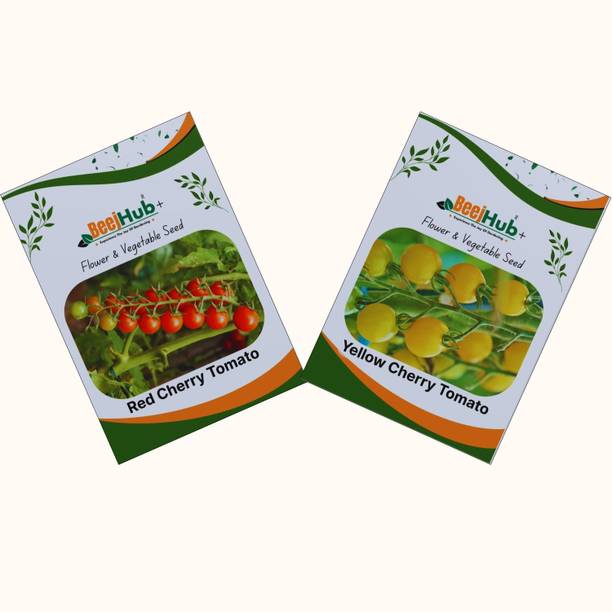 beejhub plus Cherry Tomato Seed|2 Varieties Seed|Red &Yellow Tomato Seed|100+ Seeds| Imorted| Seed