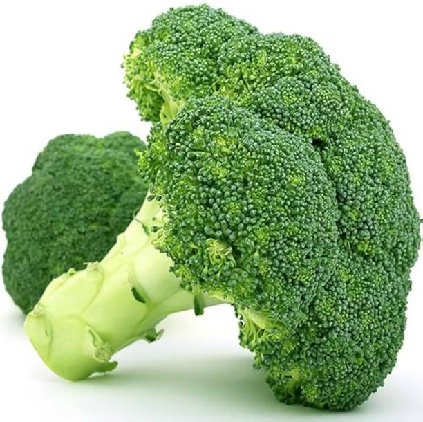 LIFELEX Broccoli vegetable seeds, high germination Seed