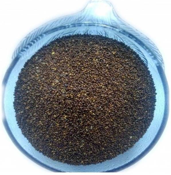 यूनिक ट्रेडर्स तुलसी, बेसिल बीज