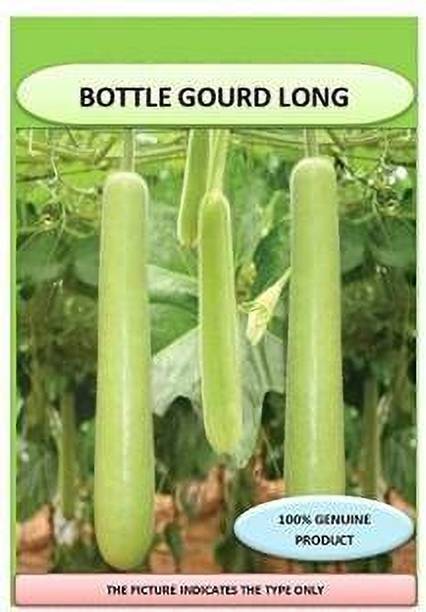 shyam traders bottel gurd loki seeds Seed
