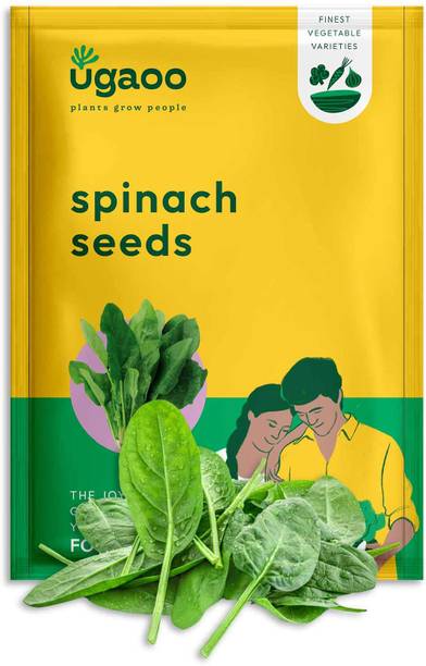 UGAOO Palak or Spinach Vegetable Seed