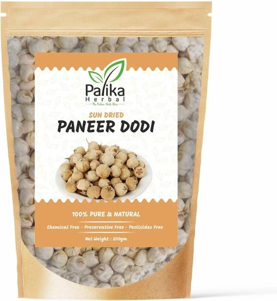Palika Herbal Organic Paneer Phool / Paneer Dodi / Indian Rennet, 100% Natural Anti-Diabetes Seed