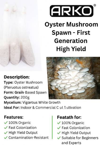 Arko Original Oyster mushroom seed,organic,Healthy,Vegetable Seed