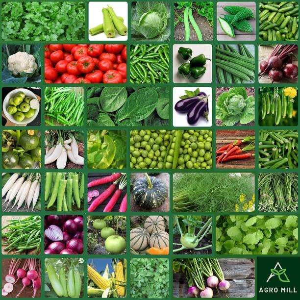 AGRO MILL 41 VARIETY OF VEGETABLES GERMINATION SEEDS PREMIUM QUALITY 100% ORGANIC NON GMO Seed