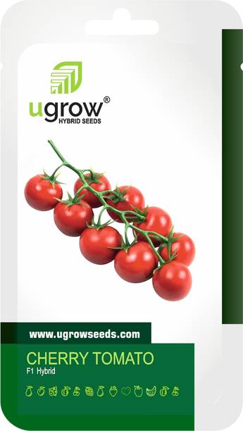 GARDENIFY INDIA Cherry Tomato Hybrid Seeds Seed