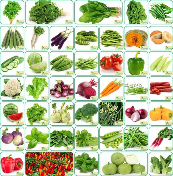 Agnico Agnico 45 Varieties of Vegetable Seeds 2665+ Germination Seeds For Your Garden With Instruction Manual Seed