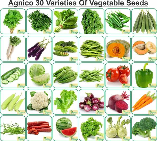Agnico Agnico 30 Varieties of Vegetable Seeds 1910+ Germination Seeds For Your Garden With Instruction Manual Seed