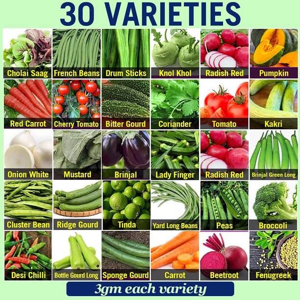 Greenery Hub Vegetable Seeds Combo Pack Perfect for Home Gardening Offers 30 Varieties Seed
