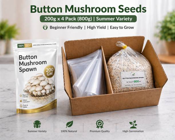 Dutta Button Mushroom Spawn 200g x 4 Pack (800g) | CO2 & Summer Variety | Grow Bag Kit Seed