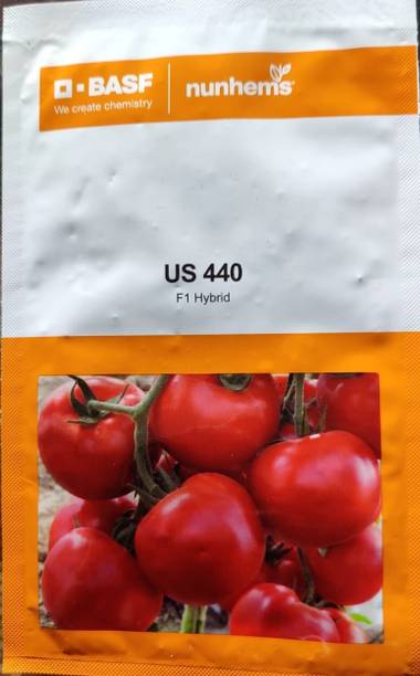nunhems US 440, Tomato, 3000 Seed