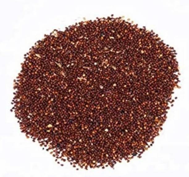 SAFRONI Beej Tulsi - Tulsi Manjari - Tulsi Seed - Shyama Seed
