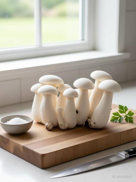 Lokhnath Enterprise Milky Mushroom Seed Seed