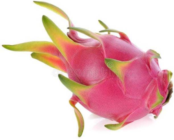 Oliver F1@quality dragon fruit seed Seed