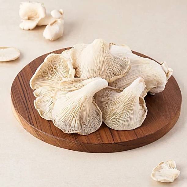 GREENSEA Mushroom Seed