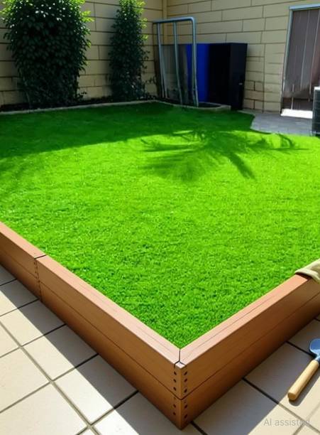 wequality Lawn grass seeds for home garden Seed