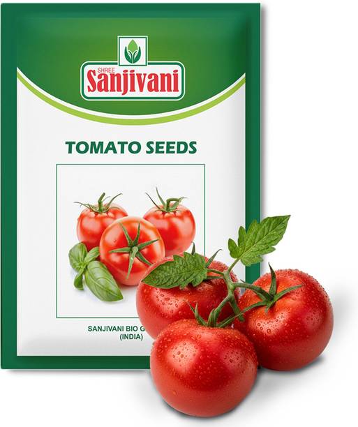 Sanjivani Tomato Seed, Vegetable seeds, Tamatar Beej, Tomato seed pack of 1.5gm Seed