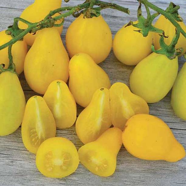 VibeX Beam's Yellow Pear Tomato Seed