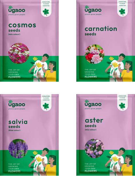 उगाओ फ्लावर सीड्स - कॉसमॉस मिक्स , कार्नेशन, साल्विया ब्लू सीड्स, एस्टर मिक्स बीज