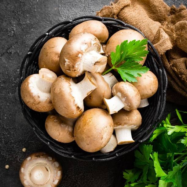 Mozette Organic mushroom herb Seed