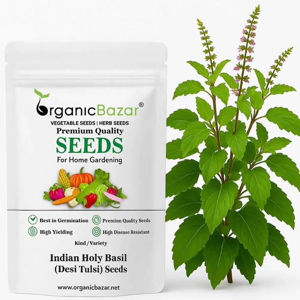 URMILA ENTERPRISE Tulsi Seeds Seed