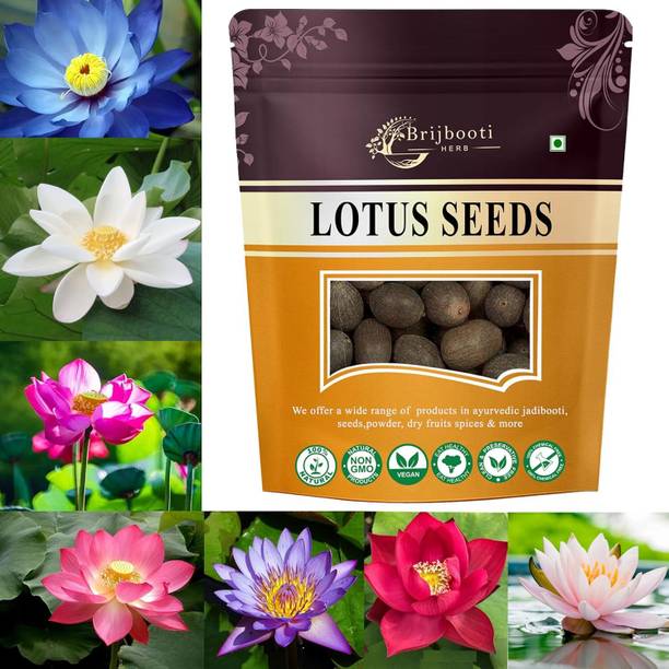 BrijBooti Kamal Seeds| Lotus Flower | Kamal Gatta |100% Germination |Seeds for Home Garden Seed