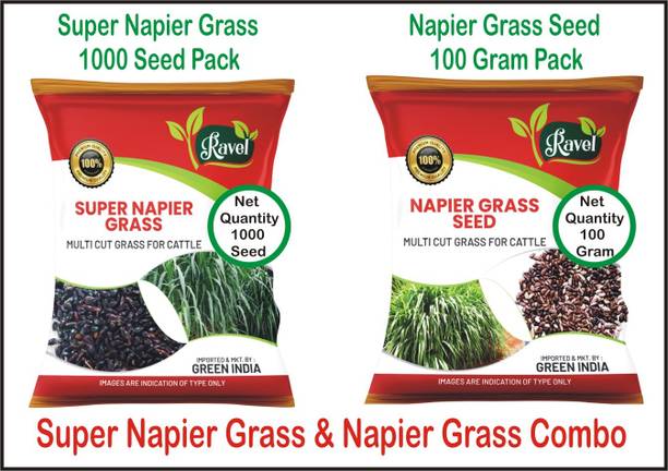 Ravel Super Napier Grass Seed 1000 Seed, Napier Grass Seed 100 Gram Pack Seed