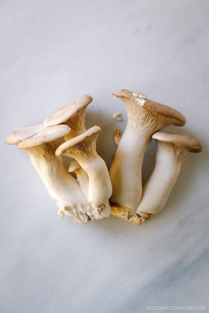 GREENSEA White Oyster Mushroom Seed