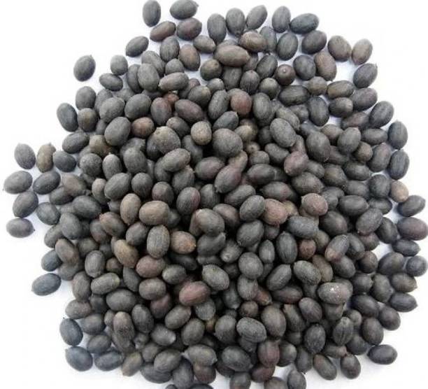 ORGANIC HERBS LOTUS SEED, KAMAL GATTA Seed