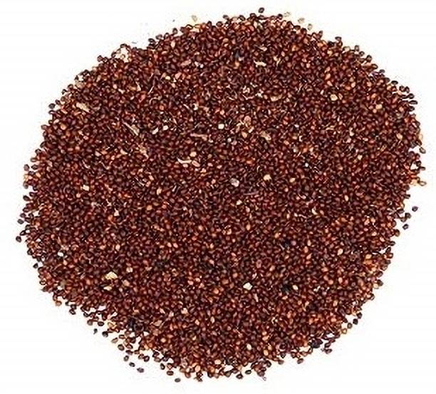 WILLVINE Rama/Green/Lakshmi/Holi Tulsi Seeds-[2000 Seeds] Seed