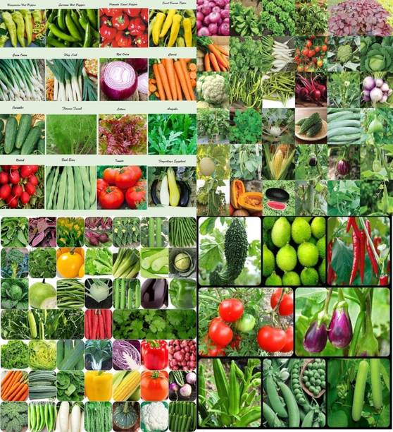 ibains Vegetable seeds beez 228 Seed