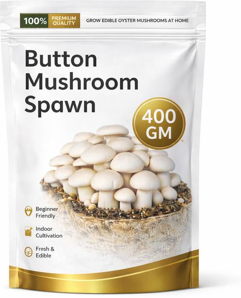 ITU Button Mushroom Spawn/Seed, | Easy Home Farming | High Yield Organic Kit Seed