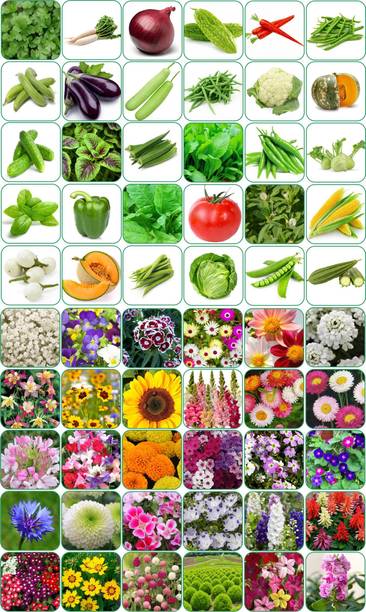 Aero Seeds 60 variety(30 flower and 30 vegetable) seeds combo pack with instruction manual. Seed