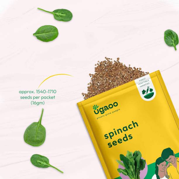 UGAOO Palak or Spinach Vegetable Seed