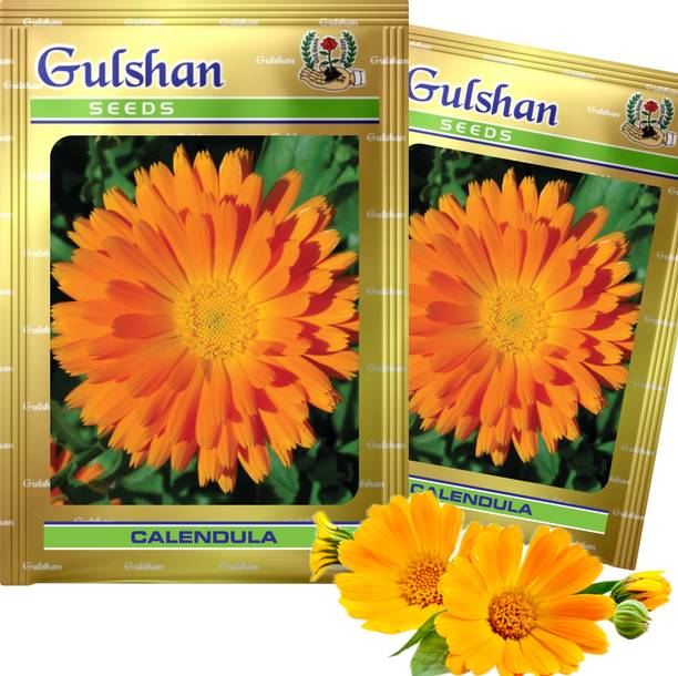 Gulshan Seed Farm Calendula Flower Seeds- Bright Yellow-Orange Blooms for Home,Terrace & Gardening Seed