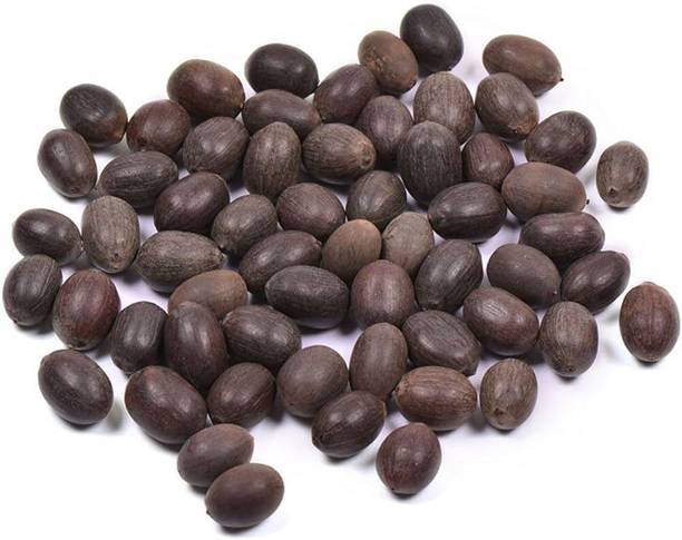 ITI KAMAL GATTA SEEDS Seed