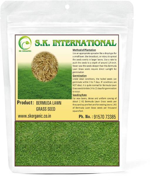 SK ORGANIC SK Organic Bermuda Lawn Grass seeds for Garden and Farmhouse Seed