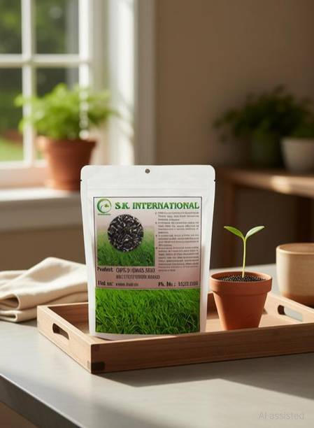 SK ORGANIC COFS 31 Multicut Fodder Grass Seeds (500 gms) Seed