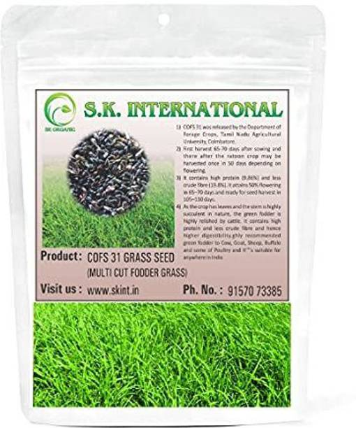 SK ORGANIC COFS 31 Multicut Fodder Grass Seeds (500 gms) Seed
