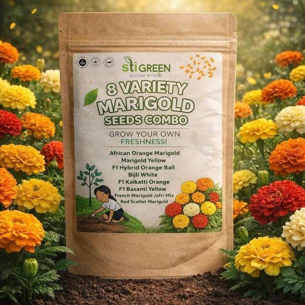 STI GREEN 8 Variety Marigold Seeds Seed