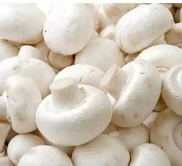 Chalisa Mushroom Seed