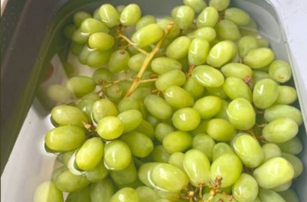 Mozette Organic grapes Seed
