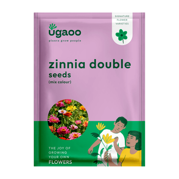 UGAOO Zinnia Double Flower Seeds Seed