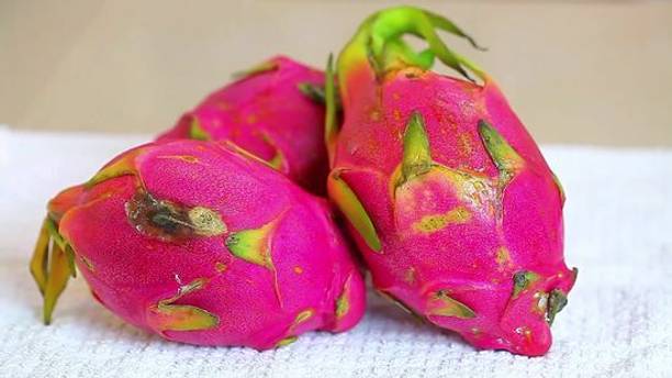 Mozette Organic dragon fruit Seed