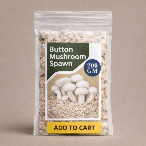Dutta Button Mushroom Spawn (CO2 Variety) with Grow Bag | Secure Carton Box Packing | Seed