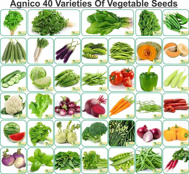 Agnico Agnico 40 Varieties of Vegetable Seeds 2600+ Germination Seeds For Your Garden With Instruction Manual Seed