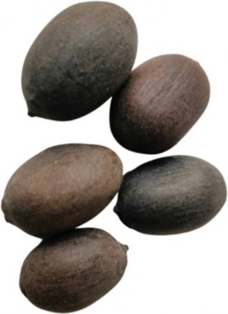 sstreadingco kamalgtta, lotus seed, kamal ka beej Seed
