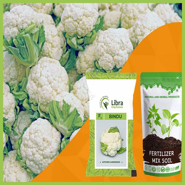 NATURAL AND HERBAL PRODUCTS Vegetable Seeds | Cauliflower | Phool Gobi | Cruciferous | Fulavar | Vegetable Seed