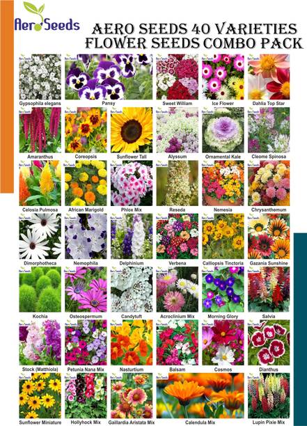Aero Seeds 40 Varieties of Flower Seeds Combo For Your Garden Seed