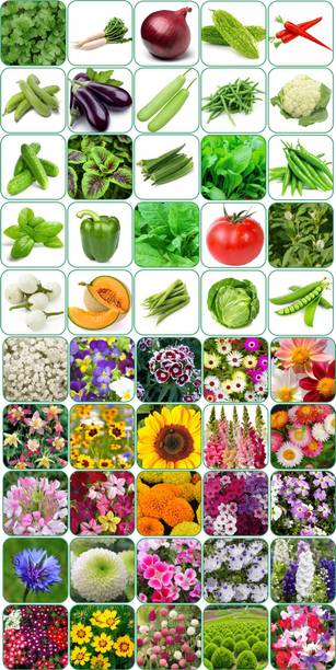 Aero Seeds 50 variety(25 flower and 25 vegetable) seeds combo pack with instruction manual. Seed